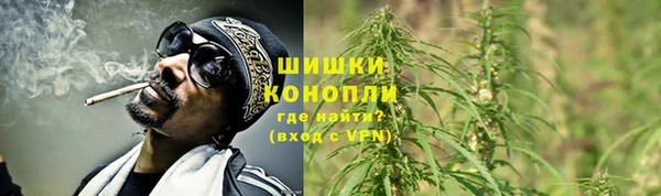 винт Гусь-Хрустальный