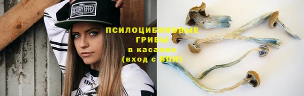 COCAINE Гусиноозёрск