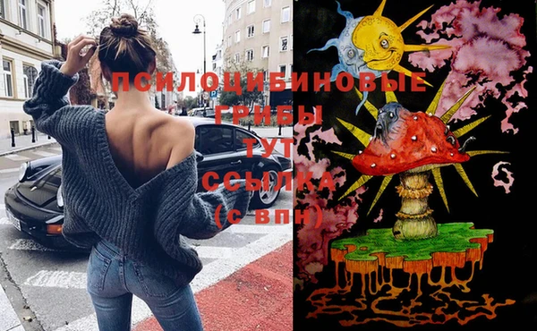 винт Гусь-Хрустальный