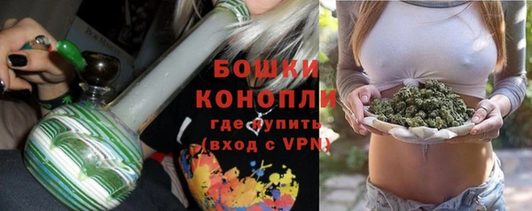 винт Гусь-Хрустальный