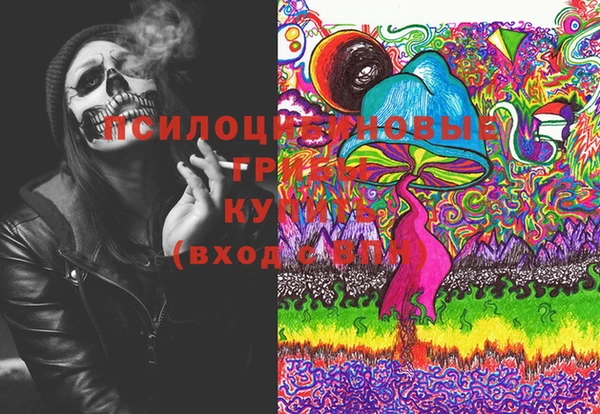 винт Гусь-Хрустальный