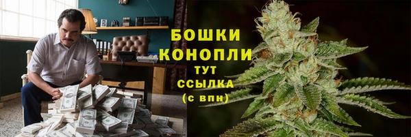 винт Гусь-Хрустальный
