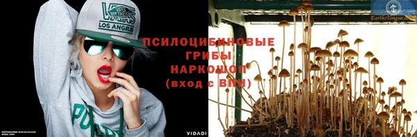 винт Гусь-Хрустальный