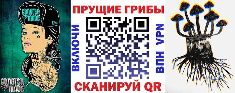 Псилоцибиновые грибы Psilocybe Елабуга
