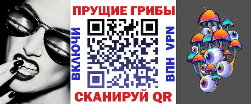 Псилоцибиновые грибы Psilocybine cubensis  Купить закладки  Елабуга 