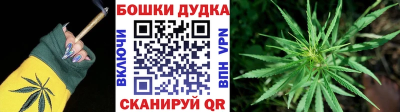 Купить  Елабуга  Канабис Amnesia 